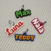 Chapita personalizada para mascotas impresa en 3D